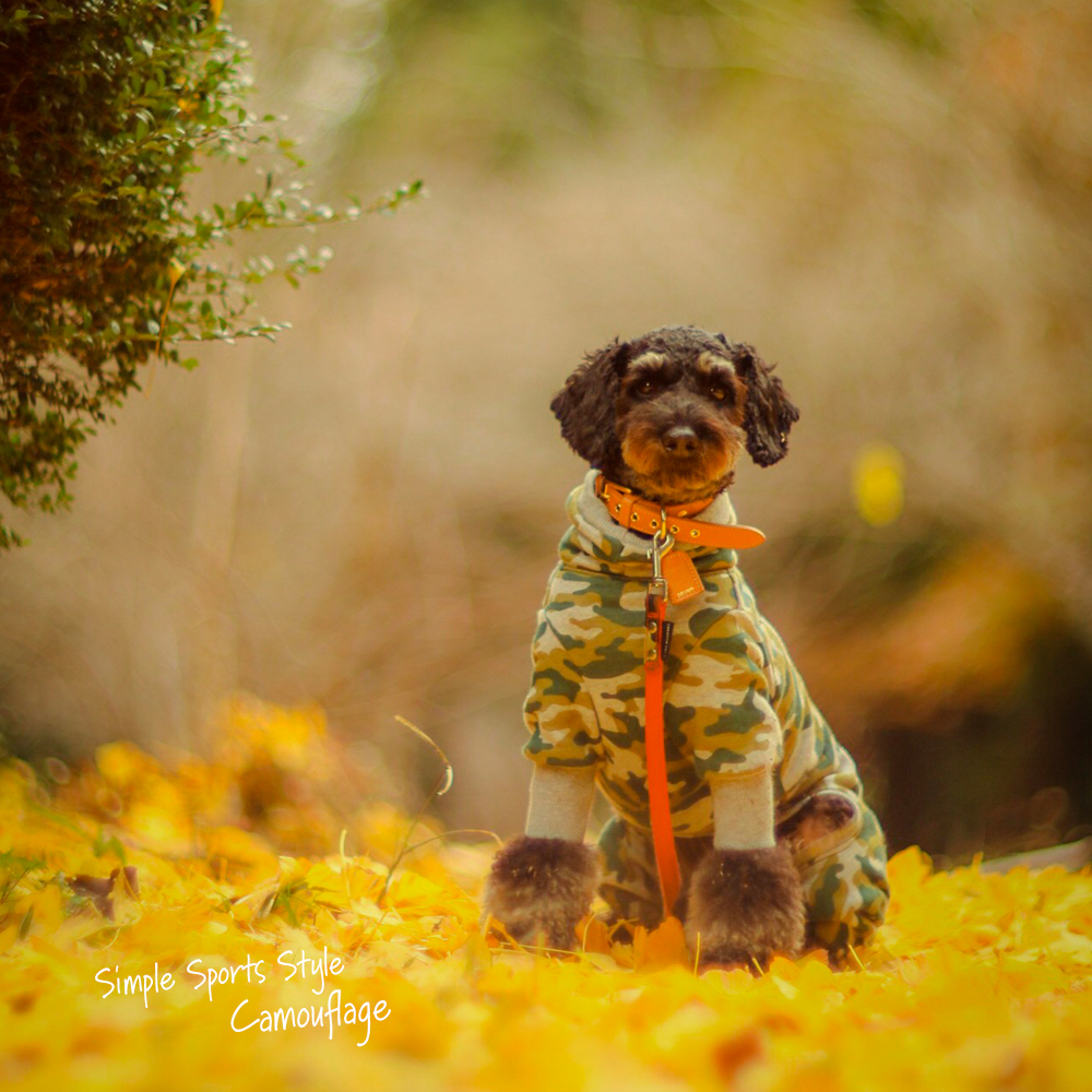 犬服｜Simple Sports Style Camouflage（迷彩）｜裏毛パイルプリント｜選べる４タイプ×３カラー（blue&white/green&gray/brown&gray）