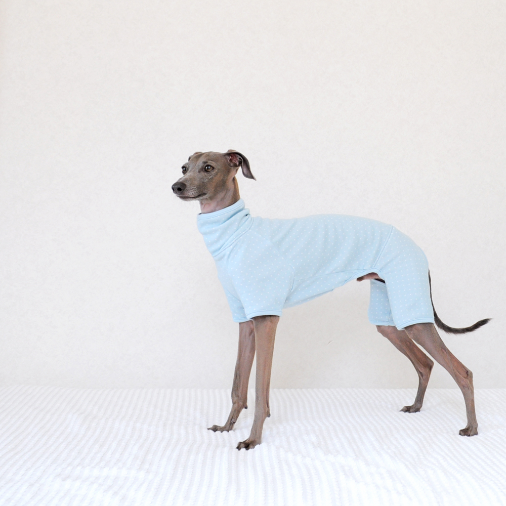 犬服ハンドメイド入門｜ゼロからの犬服の作り方＆ショップ運営の