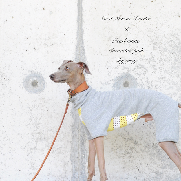 犬服デザインの考え方・決め方|犬服ハンドメイド入門STEP.02