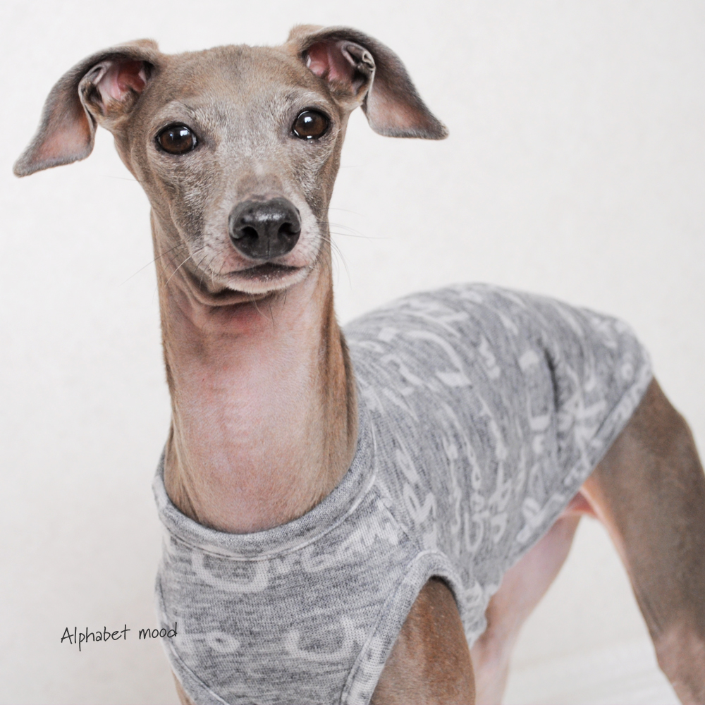 犬服デザインの考え方・決め方|犬服ハンドメイド入門STEP.02