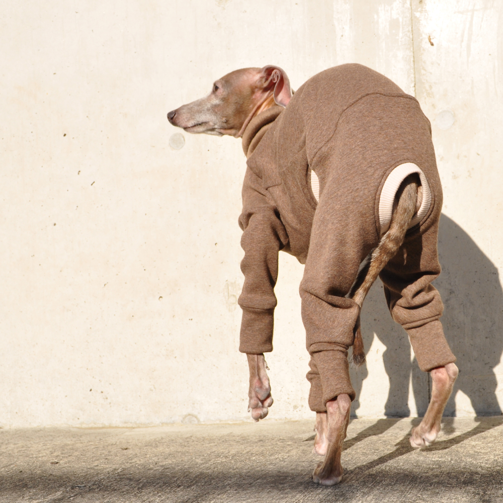 新作犬服】一枚持っていると重宝する高機能アイテム｜毛布に包まれたような、優しいぬくもり。｜裏起毛ボンバーヒートニット（保温） | ARATA HOUSE